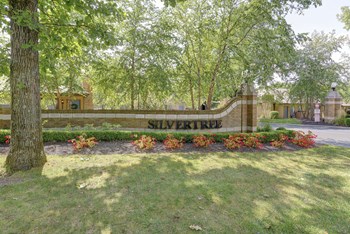 Outdoor Green Space at Silvertree, Westerville, OH