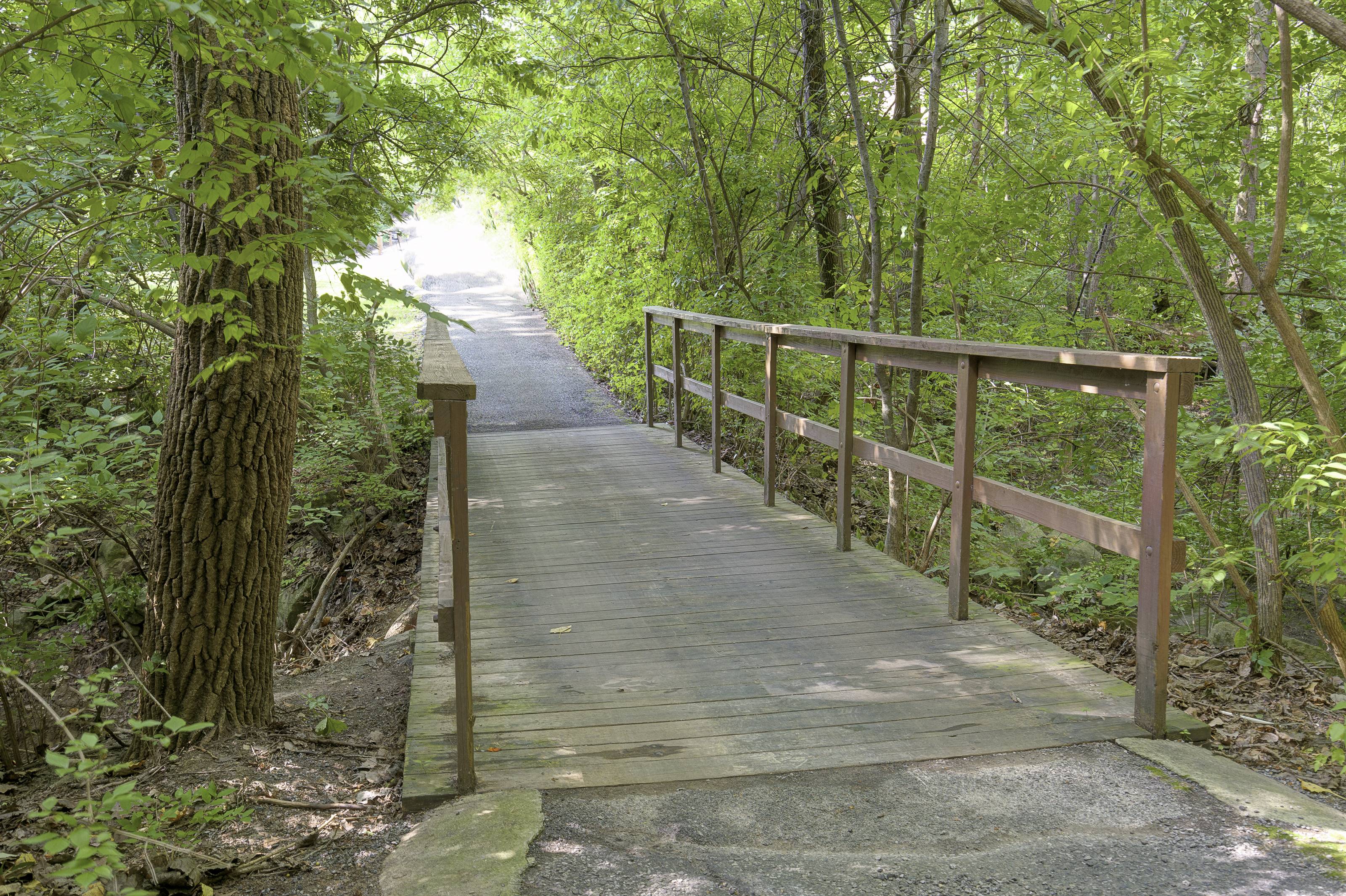 Walking Path at Silvertree, Westerville, OH, 43081