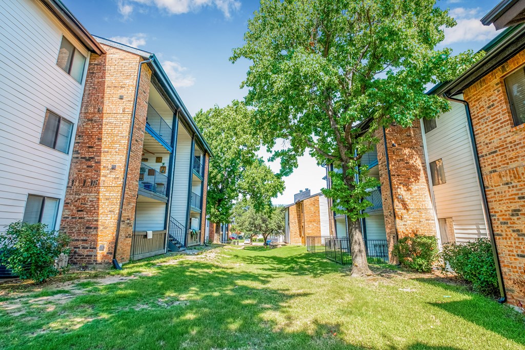 A tree in a grassy area in front of apartment buildings.