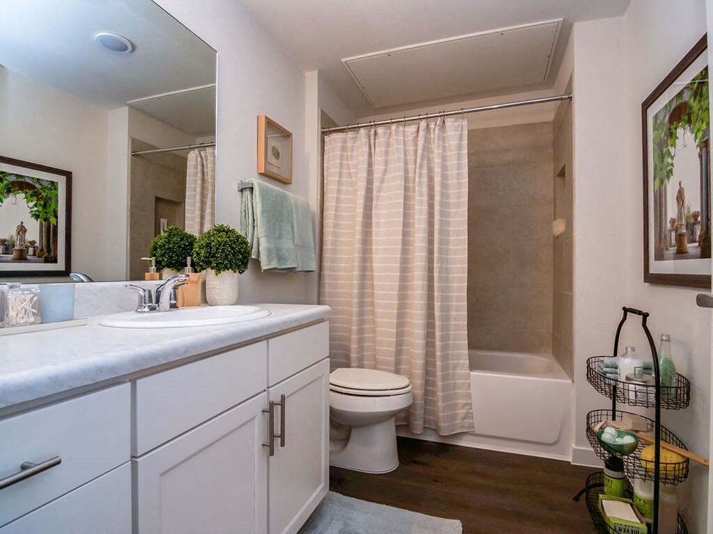 Luxurious Bathrooms at Aviator at Brooks,Texas