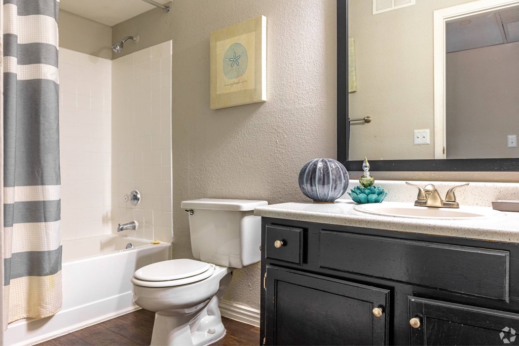a bathroom with a toilet and a sink and a mirror