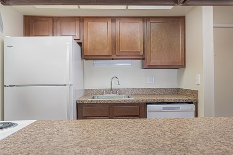 a kitchen with a sink and a refrigerator