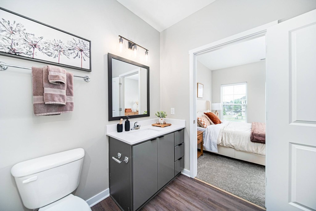 A bathroom with a white toilet, a mirror, and a cabinet.