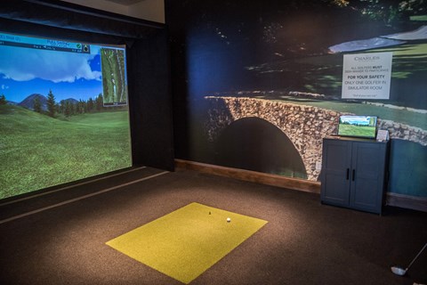 Golf Simulator