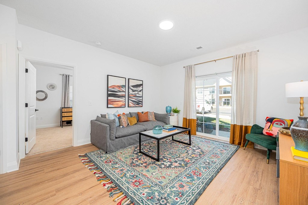 A living room with a grey couch, a coffee table, and a rug.