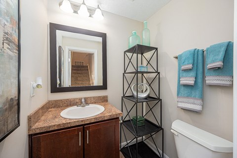 a bathroom with a sink and a mirror and a towel rack