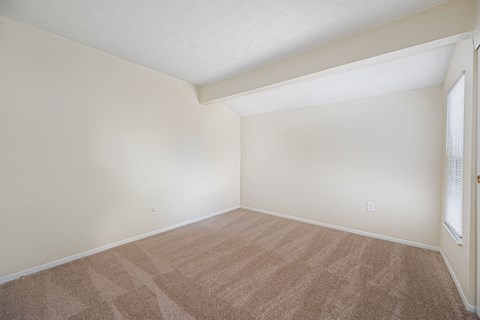 an empty living room with carpet and a window
