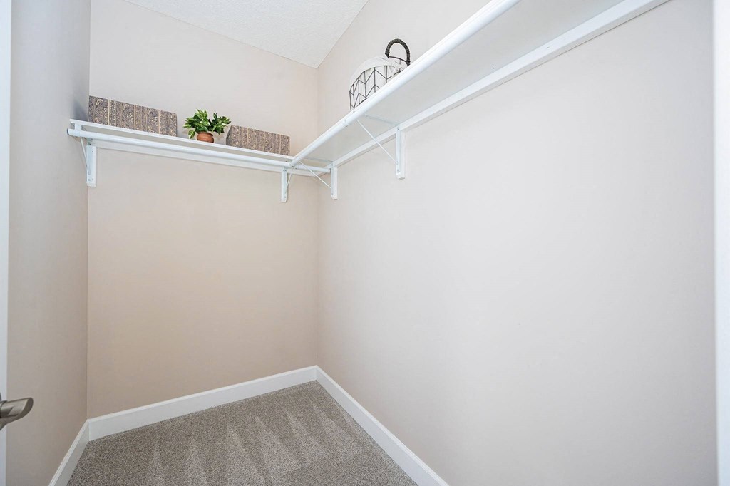 a walk in closet with white walls and a shelf with a plant
