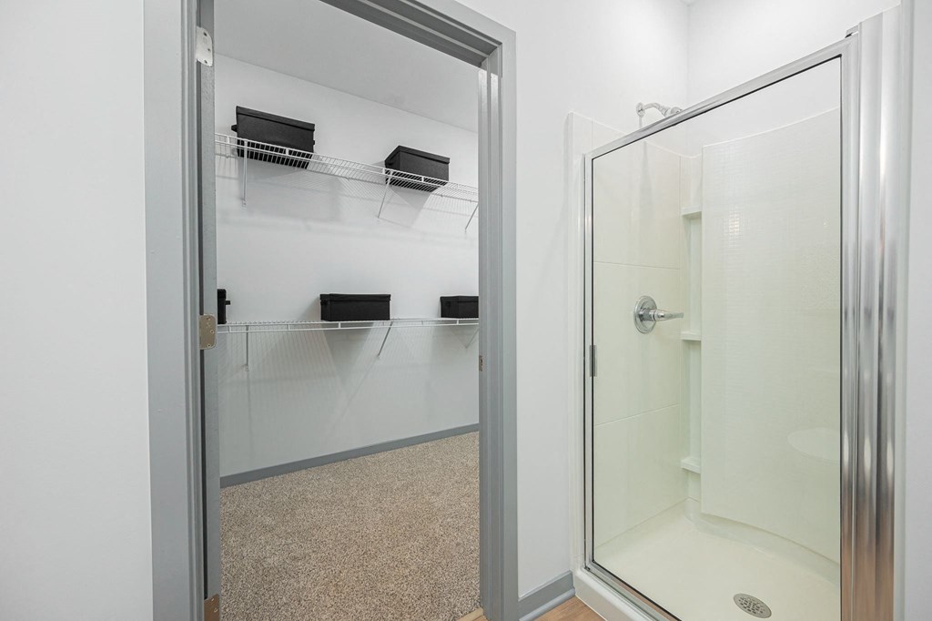 a bathroom with a shower and a glass door