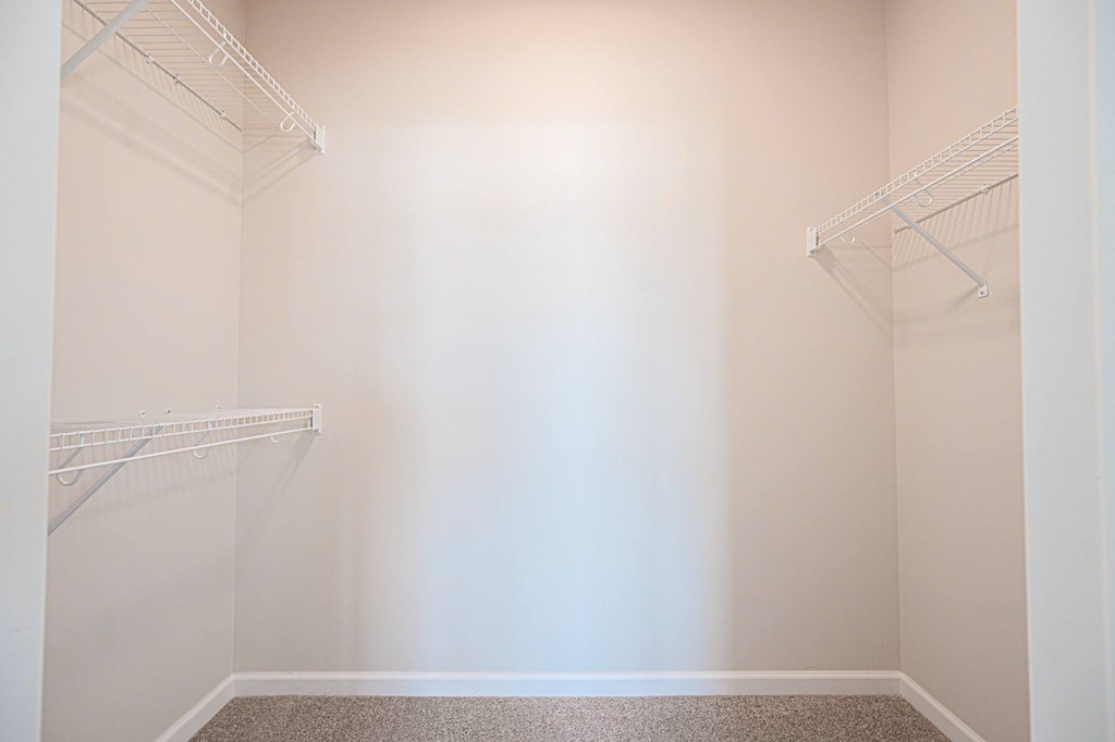 Empty white closet with shelves and carpeted floor.