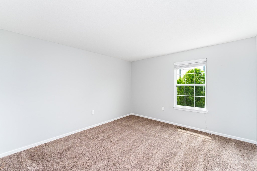 A room with a carpeted floor and a window showing greenery outside.