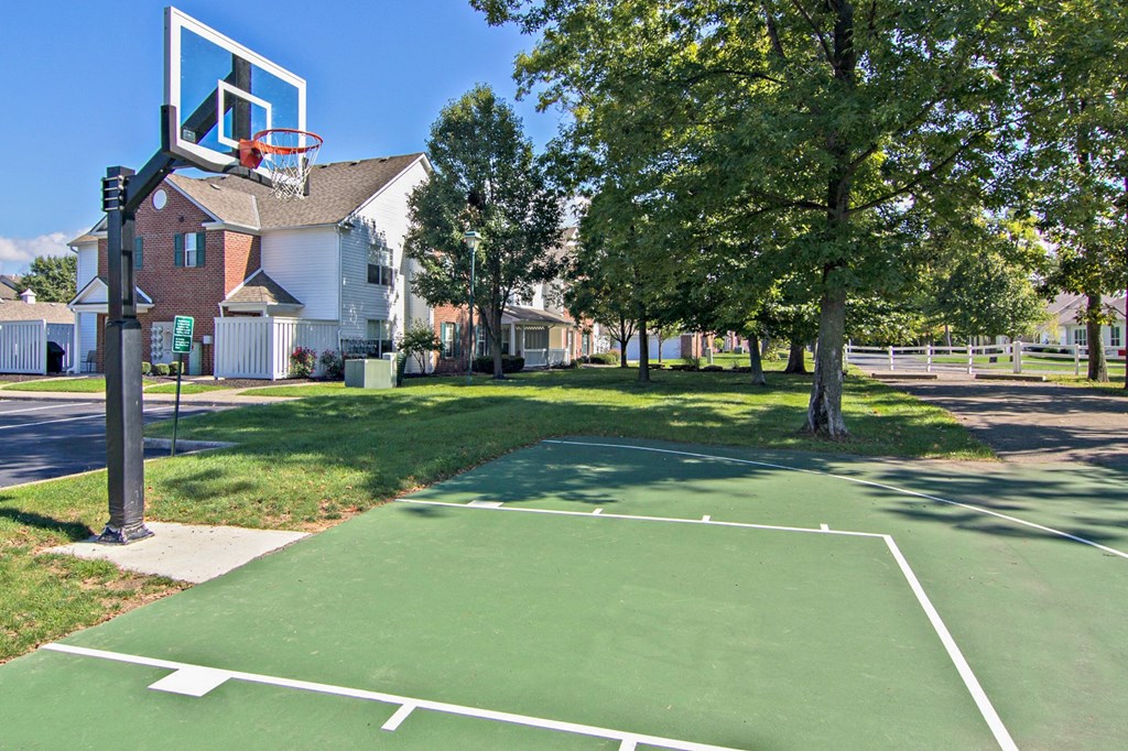 Basketball Court