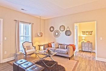 In Unit Living Room - Photo Gallery 13
