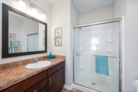 a bathroom with a shower and a sink and a mirror
