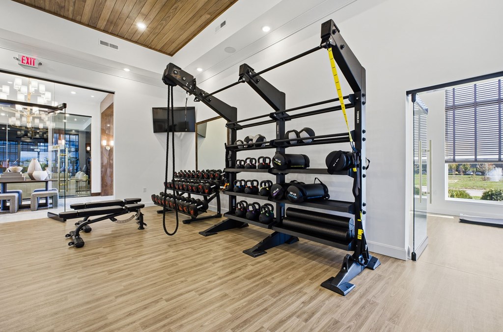 A gym with a squat rack, bench, and weights.