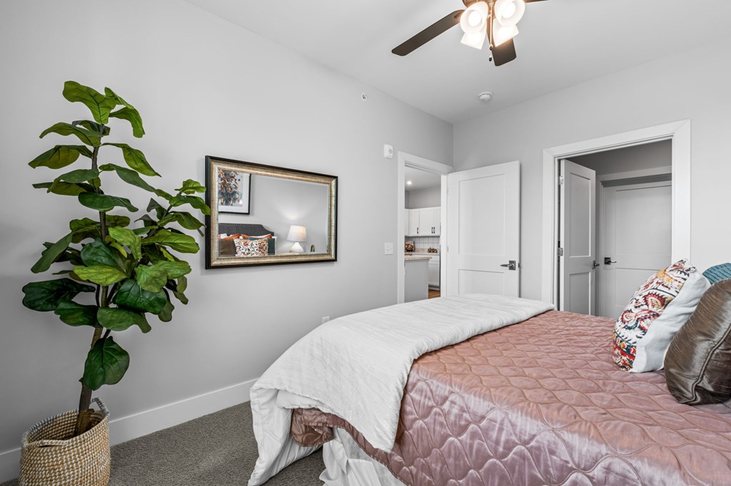A bedroom with a bed, a ceiling fan, and a potted plant.