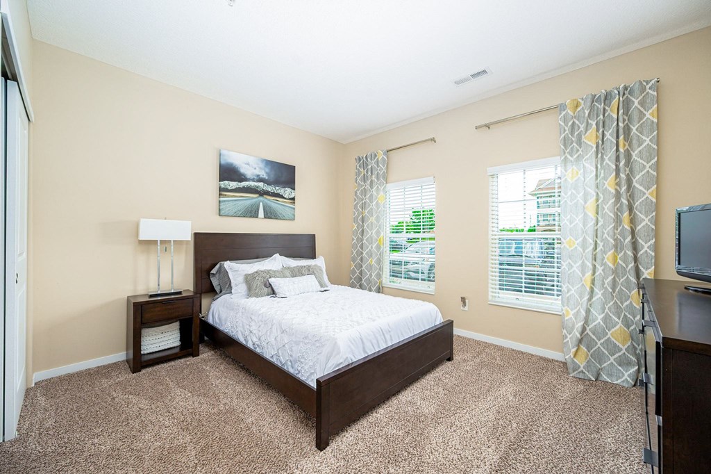 a bedroom with a bed and a tv