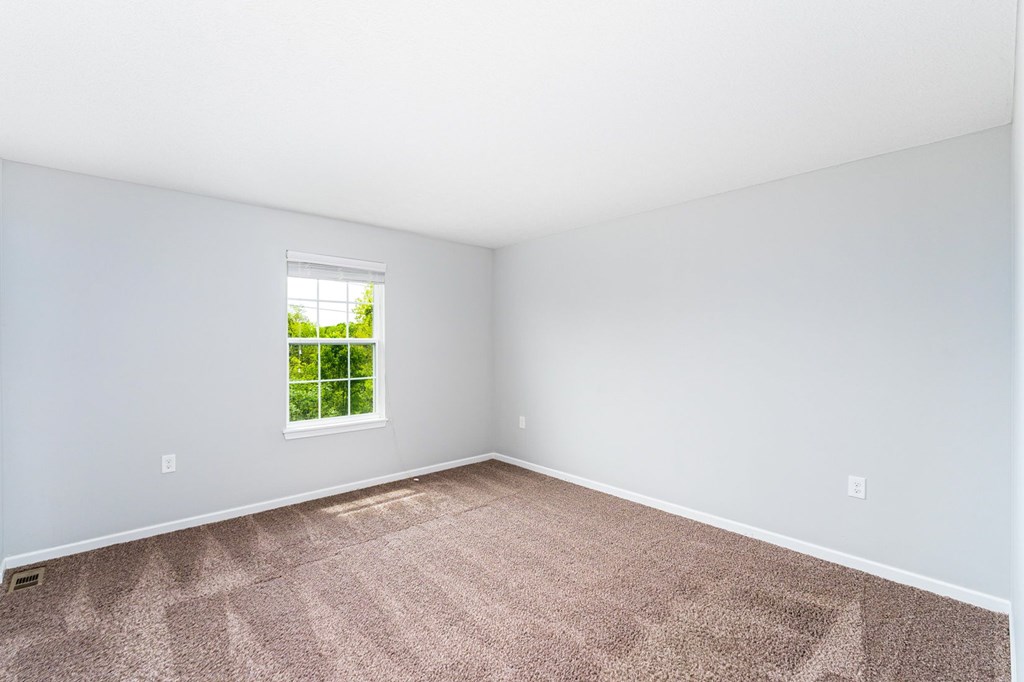 A room with a carpeted floor and a window showing greenery outside.