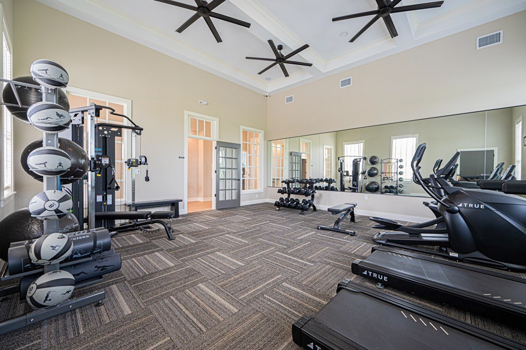 A well-equipped gym with a variety of exercise machines and weights.