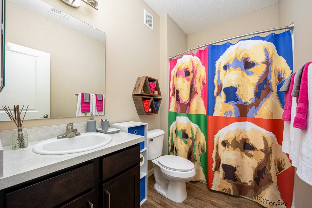 a bathroom with a shower curtain and a toilet and sink