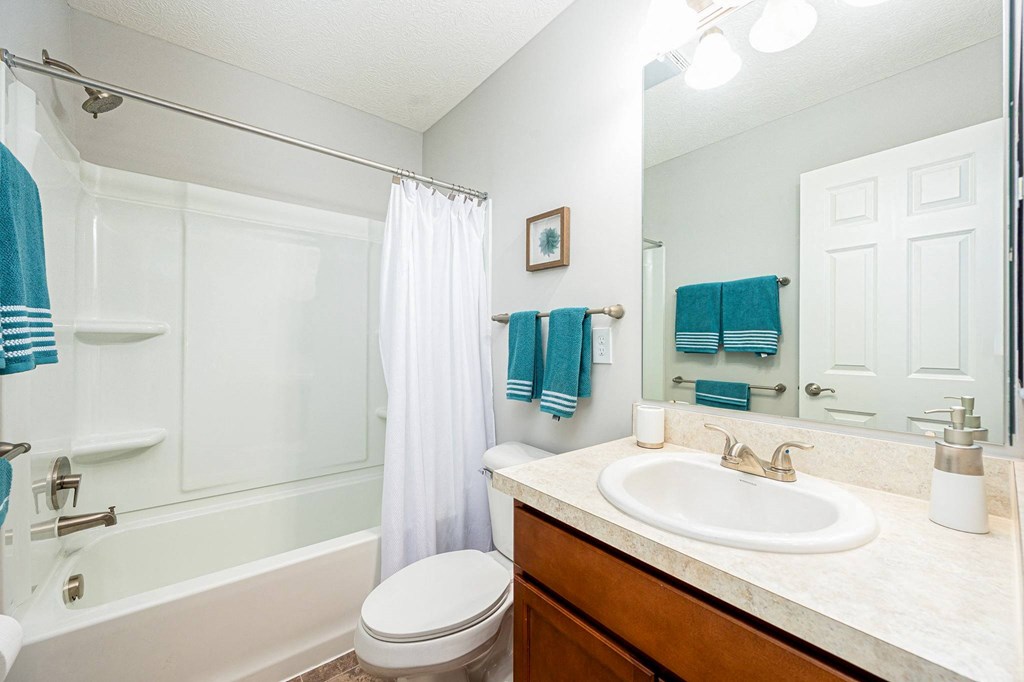 a bathroom with a sink and a toilet and a shower
