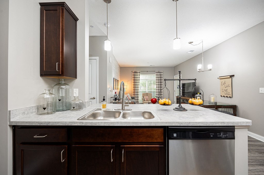 a kitchen with a sink and a dishwasher