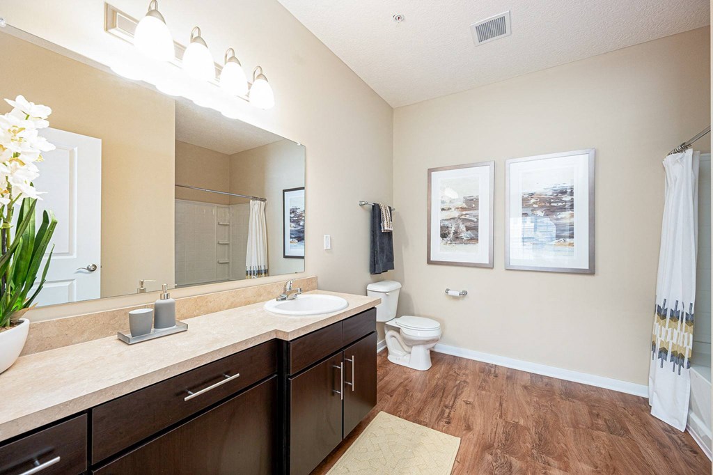 a bathroom with a sink and a toilet and a mirror