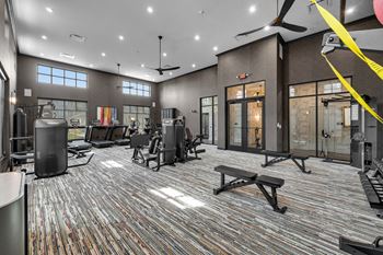 A gym with a variety of equipment including treadmills, weights, and a bench press.