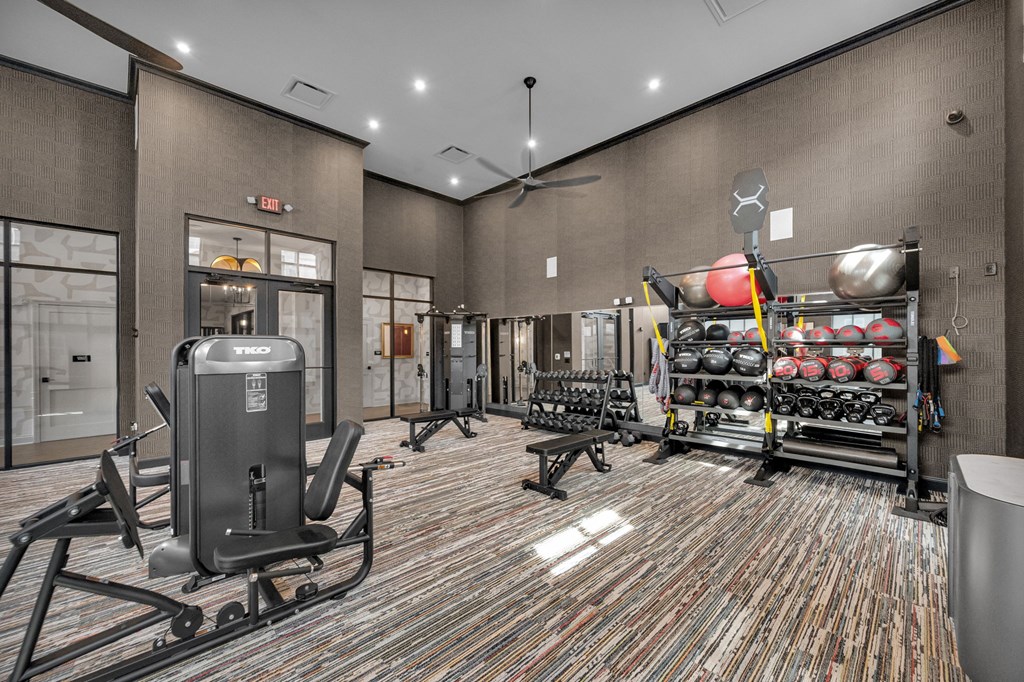 A gym with a variety of equipment including a treadmill, weights, and a bench press.