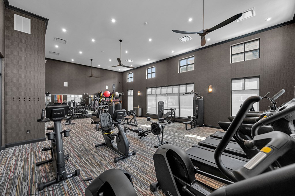 A gym with treadmills, elliptical machines, and other exercise equipment.