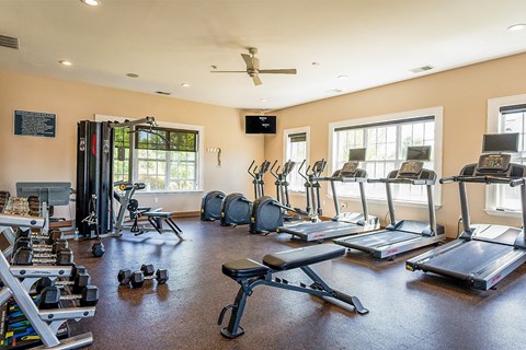 the fitness room has plenty of weights and cardio equipment