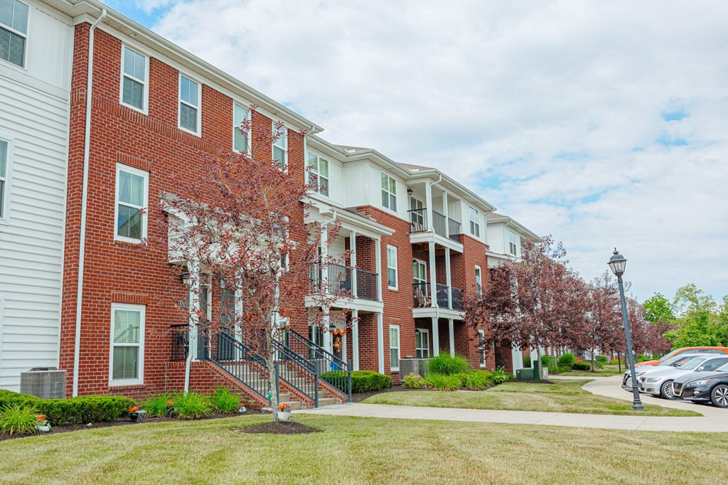 our apartments are located in the heart