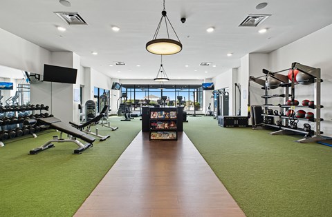 A gym with a variety of equipment and a green carpet.