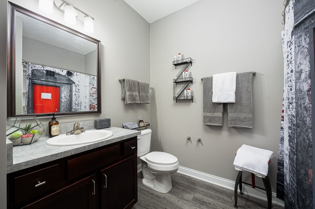 a bathroom with a mirror and a sink and a toilet