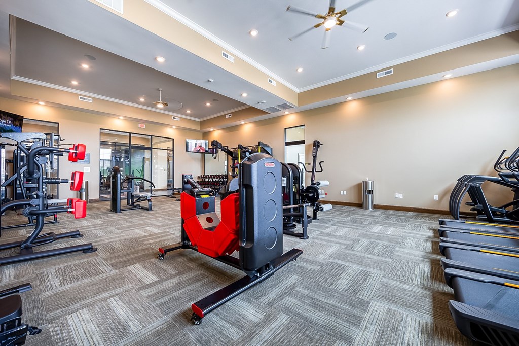 A gym with a variety of equipment including treadmills, weights, and a rowing machine.