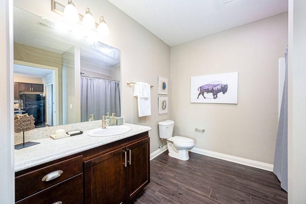 a bathroom with a mirror and a toilet and a sink