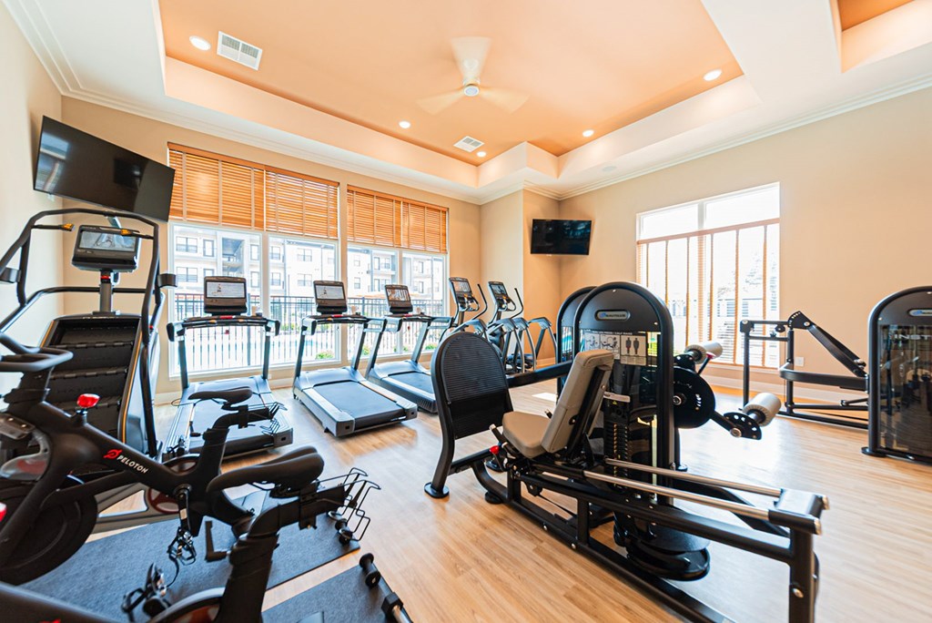 A gym with treadmills, exercise bikes, and other equipment.