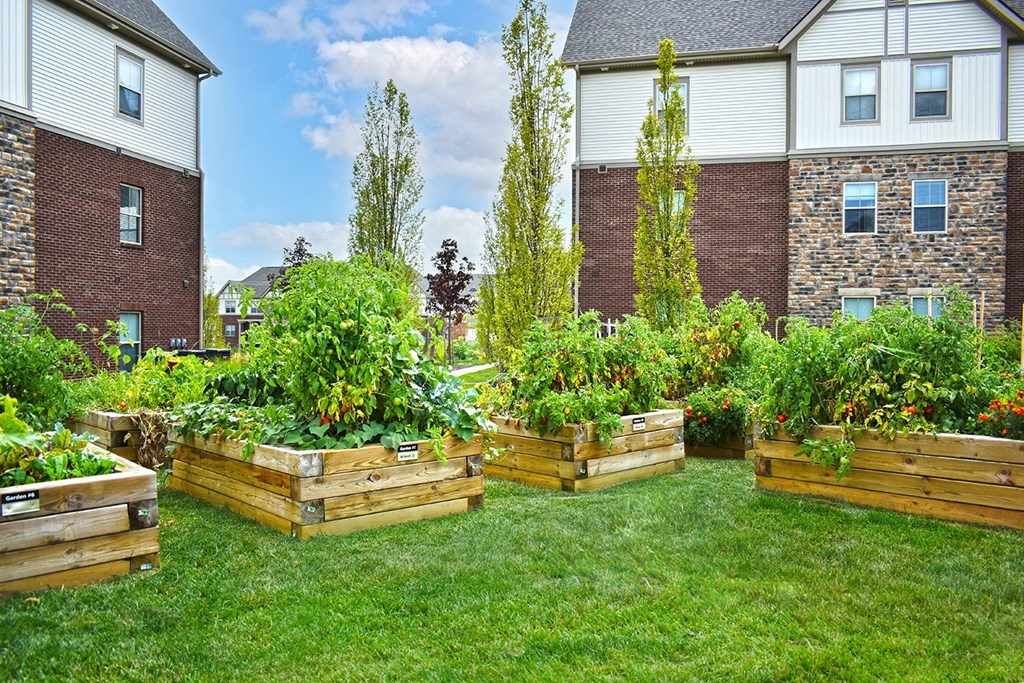 The Ravines At Westar