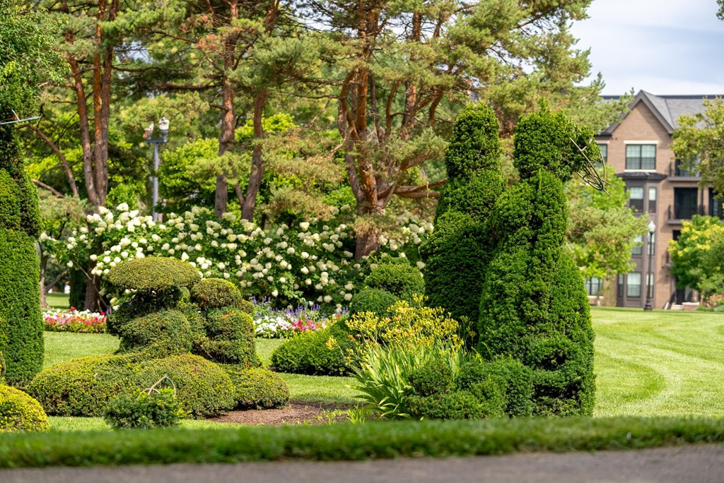 a garden with shrubs and trees in front of a building