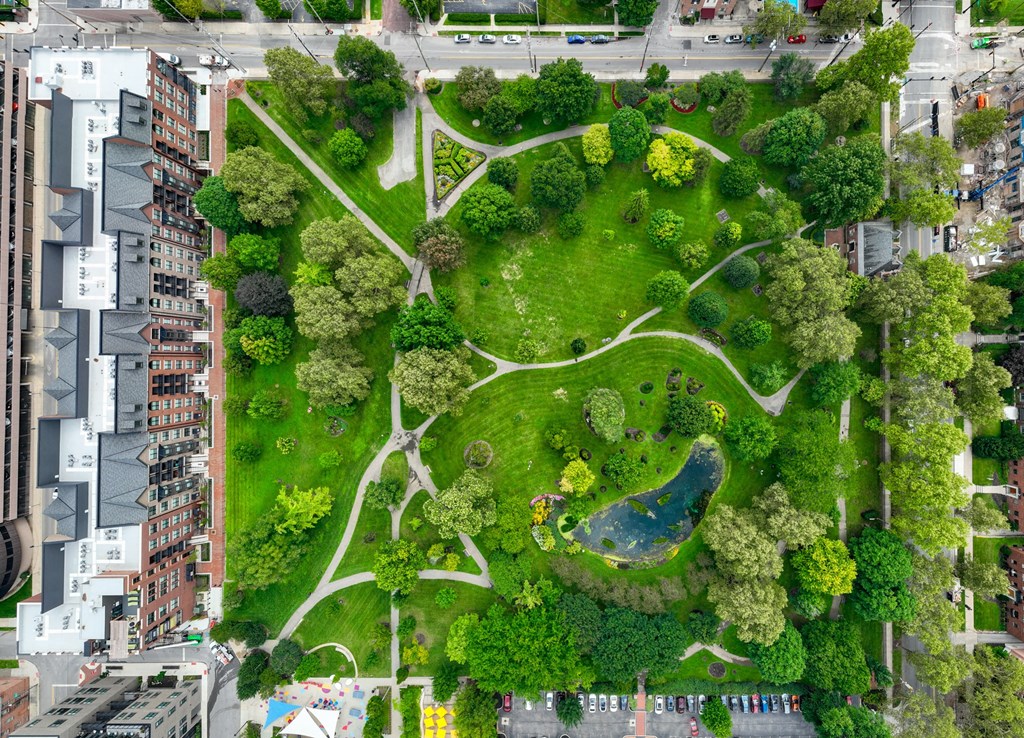 a park with trees and a pond in the middle of a city
