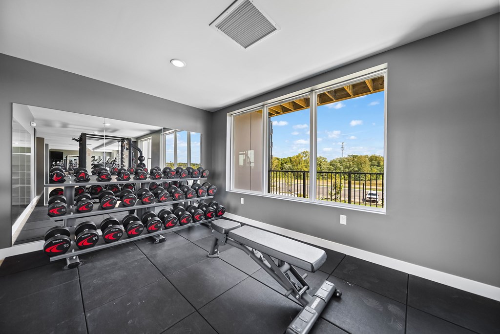 A gym room with a row of exercise bikes and a bench.