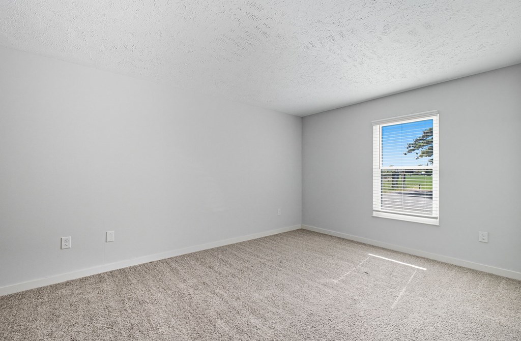 A room with a window showing a blue sky and a tree.