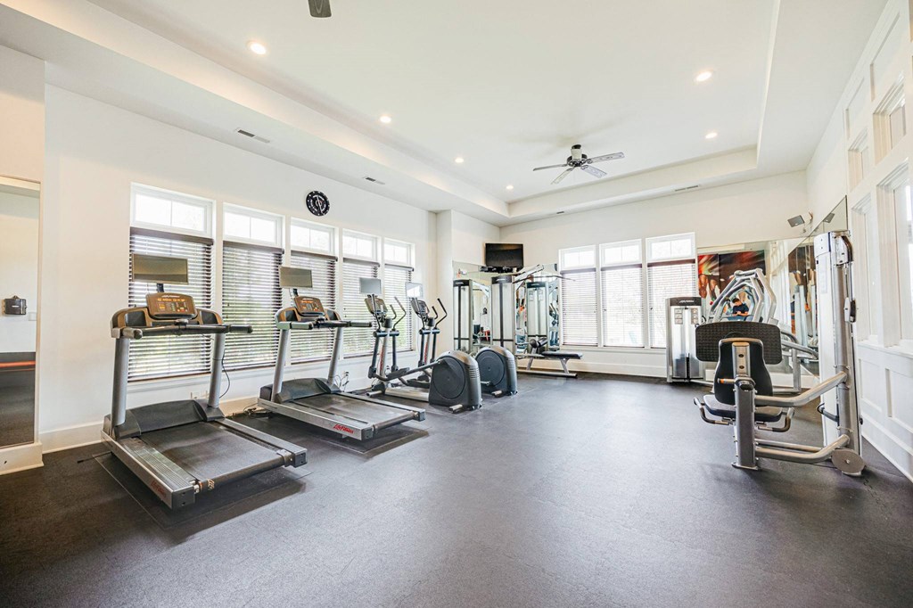 the gym has plenty of cardio equipment and windows