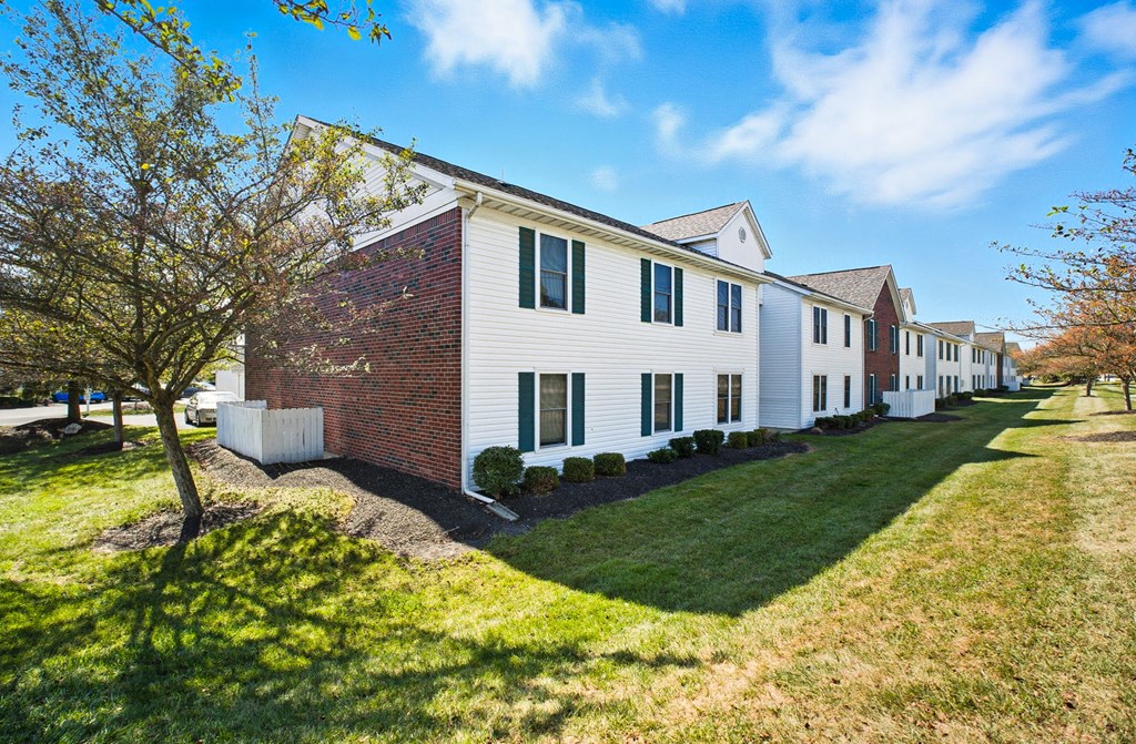 A row of houses with a tree in front of the first one.