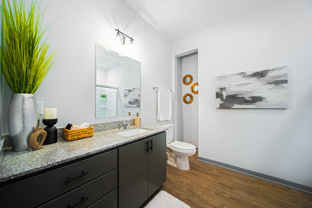 A bathroom with a white toilet and a large mirror.