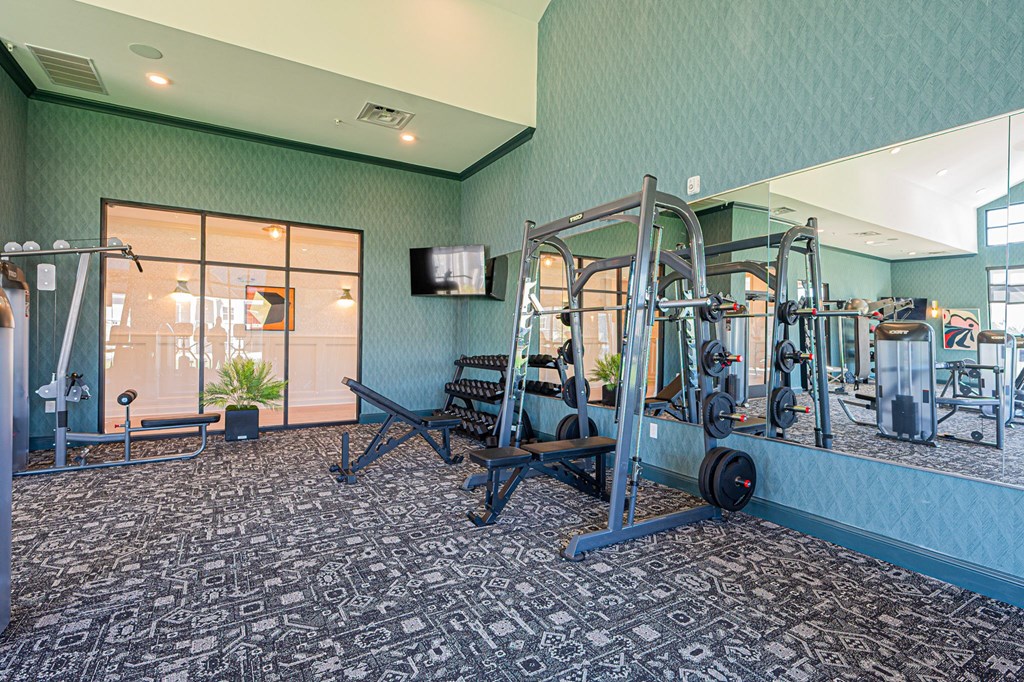 A gym with a variety of equipment including a squat rack and a bench.