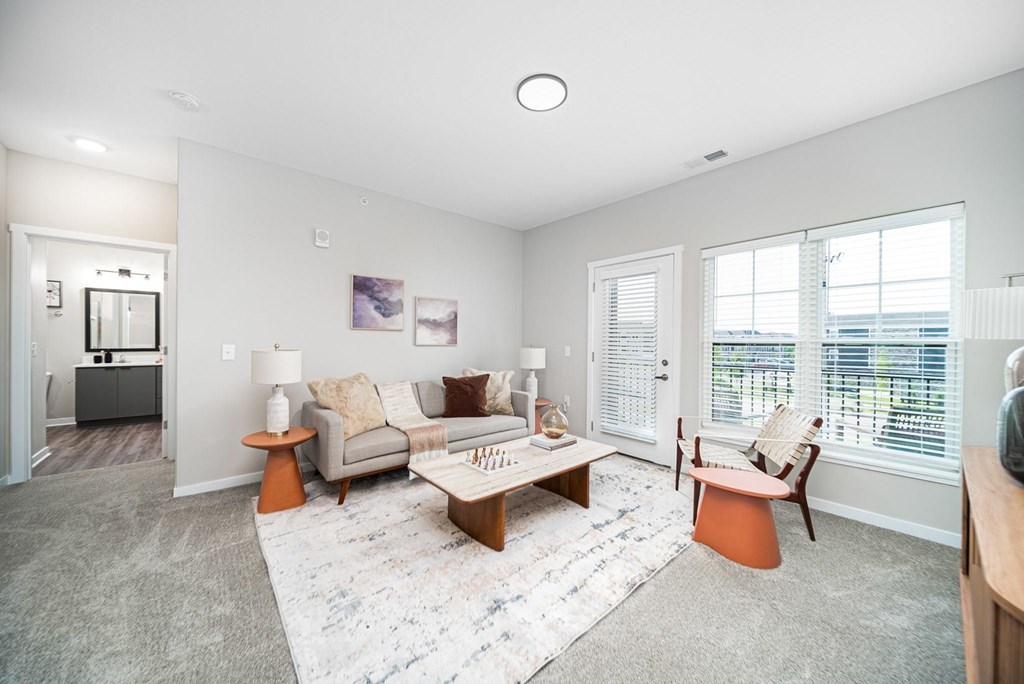 A living room with a grey couch, a coffee table, and a rug.