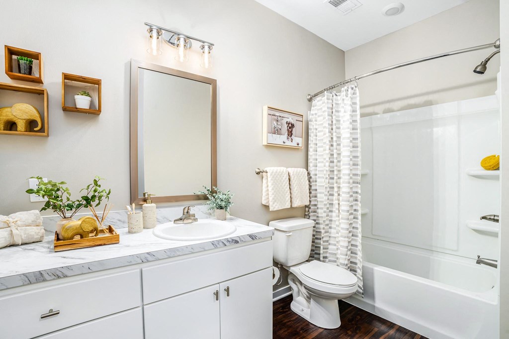 a bathroom with a shower toilet and sink and a mirror