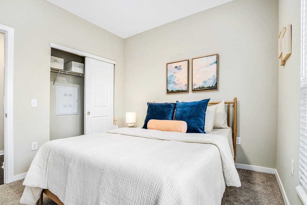 a bedroom with a bed and a closet