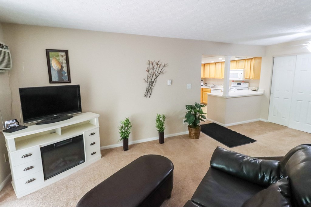 a living room with a television and a kitchen